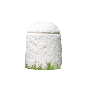 Biologische mini-urn Loop EarthRise zonder holte - wit