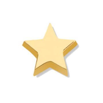Minitials gouden ashanger Signature Ster