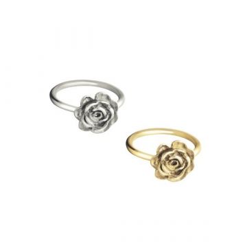 Asring roos