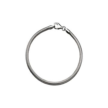 Zilveren bedelarmband met zilveren sluiting