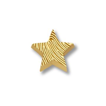 Minitials gouden ashanger signature ster met vingerafdruk