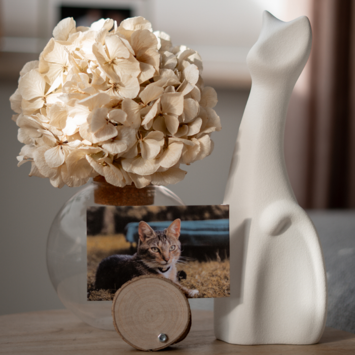 Porseleinen dierenurn abstracte kat - wit (0.50 L)