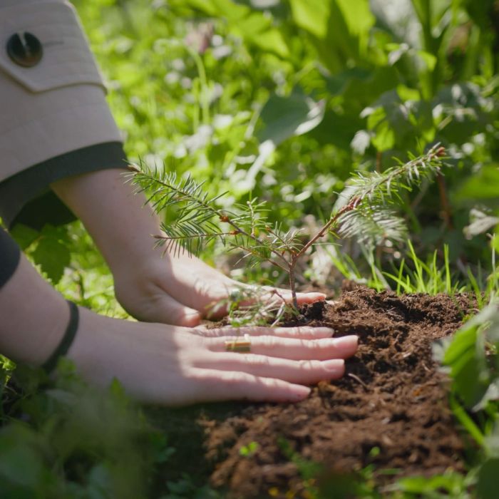 Biologische urn Loop EarthRise zonder holte - wit