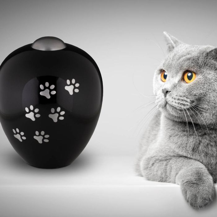 Metalen dierenurn amore - onyxkleurig (2.30 L)